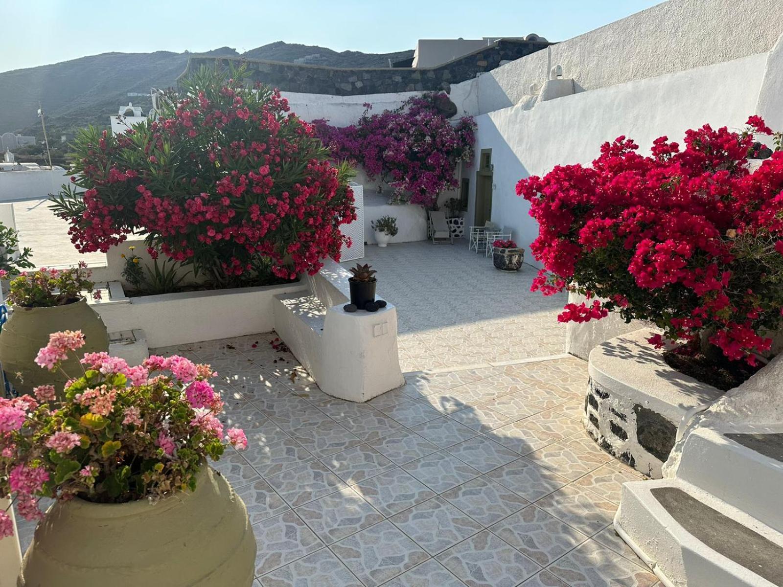 Palm Tree Hill Guest House Oía Exterior photo