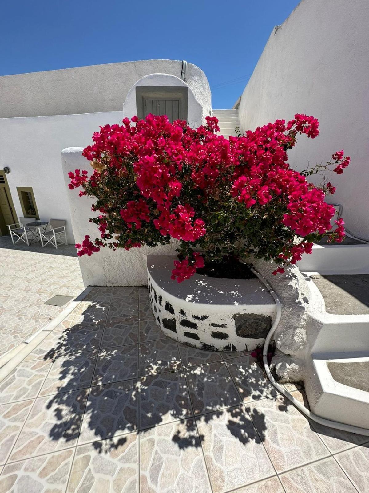 Palm Tree Hill Guest House Oía Exterior photo